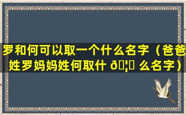 罗和何可以取一个什么名字（爸爸姓罗妈妈姓何取什 🦄 么名字）